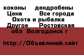 коконы    дендробены › Цена ­ 25 - Все города Охота и рыбалка » Другое   . Ростовская обл.,Волгодонск г.